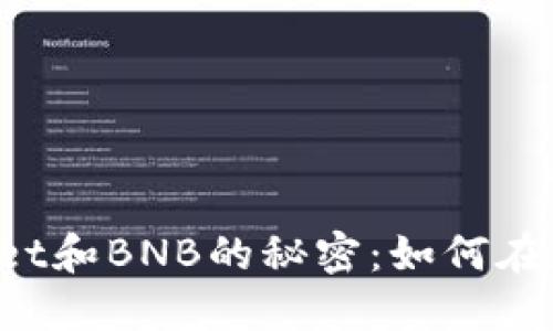 你不能错过的TPWallet和BNB的秘密：如何在加密世界中投资成功？