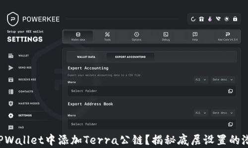 
如何在TPWallet中添加Terra公链？揭秘底层设置的潜在惊喜！