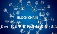 揭开TP Wallet iOS下载的神秘面纱：你准备好了吗？