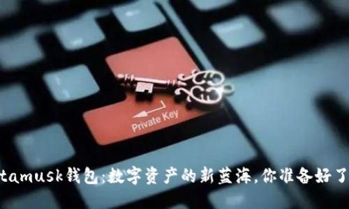“Metamusk钱包：数字资产的新蓝海，你准备好了吗？”