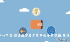 TPWalletPro下载：探索数字资产管理的全新领域，您