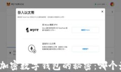 选择最佳加密数字钱包的秘密：哪个最适合你？