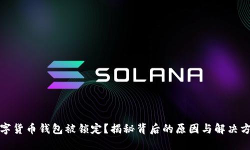 数字货币钱包被锁定？揭秘背后的原因与解决方案