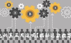 :你知道虚拟币钱包的真正用途吗？揭秘这款数字