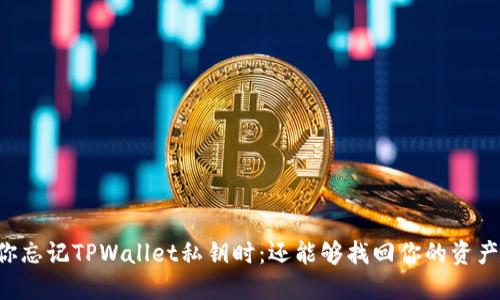 当你忘记TPWallet私钥时：还能够找回你的资产吗？