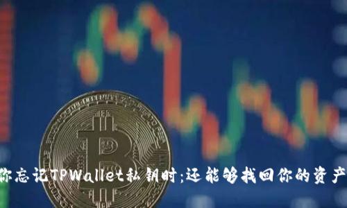 当你忘记TPWallet私钥时：还能够找回你的资产吗？