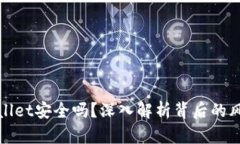 把币放在TPWallet安全吗？深入解析背后的风险与保