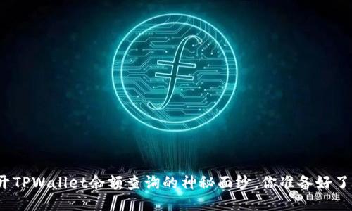 揭开TPWallet余额查询的神秘面纱，你准备好了吗？