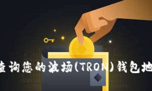 如何在TPWallet中查询您的波场(TRON)钱包地址？揭秘步骤与技巧