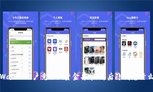 惊！TPWallet账户竟出现资金异常，背后隐藏着什么秘密？