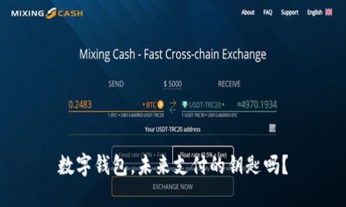 数字钱包，未来支付的钥匙吗？