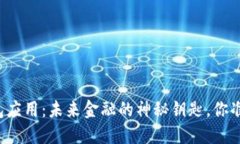虚拟币钱包应用：未来金融的神秘钥匙，你准备