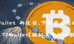 关于将 PIG 代币转入 TPWallet 的过程，下面将为您