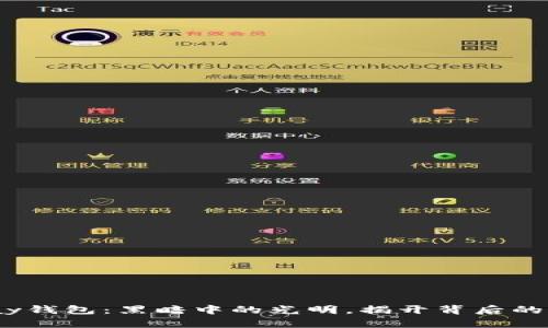 CGPay钱包：黑暗中的光明，揭开背后的秘密！