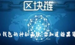 揭开数字货币钱包的神秘面纱：你知道糖果背后