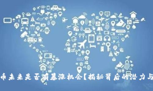 狗狗币未来是否有暴涨机会？揭秘背后的潜力与风险