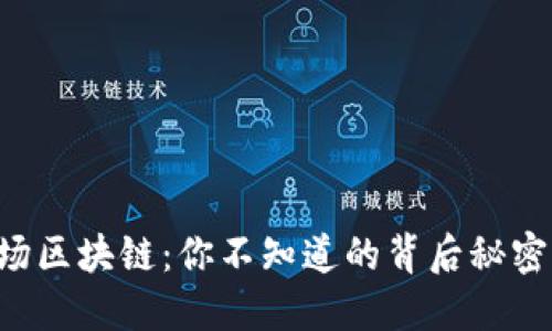 解密波场区块链：你不知道的背后秘密与机会！