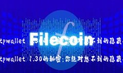 发现tpwallet 1.30的秘密：你绝对想不到的隐藏功能