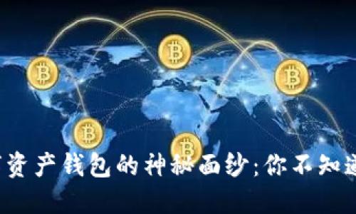 揭开国外数字资产钱包的神秘面纱：你不知道的那些秘密！
