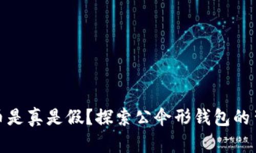 数字货币是真是假？探索公伞形钱包的背后秘密