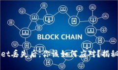 当tpwallet丢失后，你该如何应对？揭秘恢复秘诀