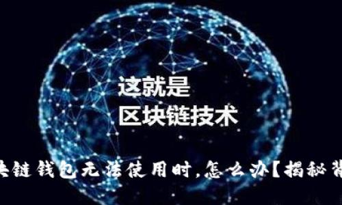 当我的区块链钱包无法使用时，怎么办？揭秘背后的秘密！