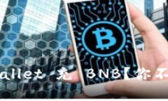 如何轻松向 TPWallet 充 BNB？你不知道的秘密分享！
