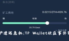 当数字资产遭遇危机：TP Wallet被盗事件背后的秘