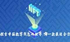  探索中国数字钱包的世界：哪一款最适合你?
