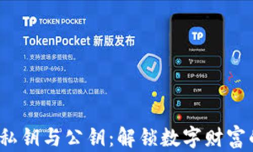 
数字币钱包私钥与公钥：解锁数字财富的神秘钥匙？