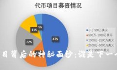 揭开区块链项目背后的神秘面纱：谁是下一个“