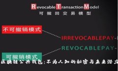 区块链公共钱包：不为人知的秘密与未来潜力