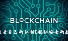 如何在TP钱包中查看自己的私钥？揭秘安全的数字