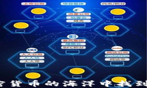 
如何在加密货币的海洋中找到你的珍珠？