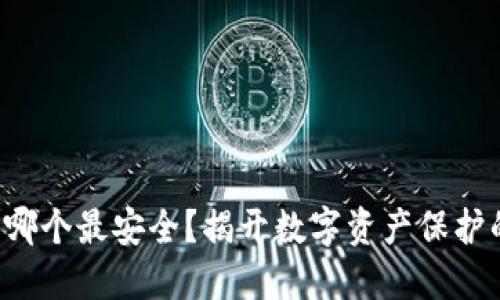冷钱包究竟哪个最安全？揭开数字资产保护的神秘面纱！