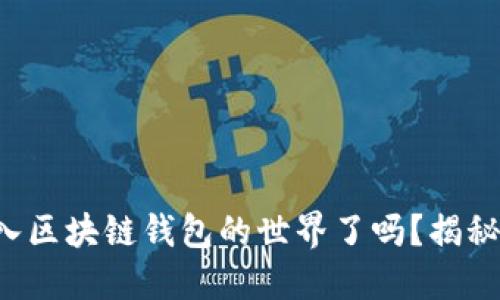你准备好进入区块链钱包的世界了吗？揭秘背后的秘密！