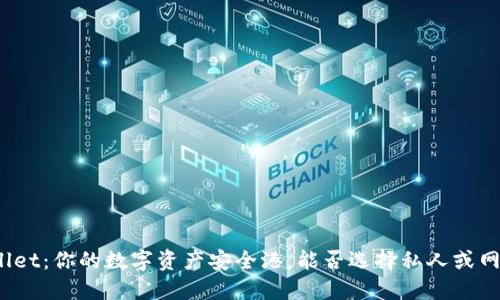 **TPWallet：你的数字资产安全港，能否选择私人或网站使用？