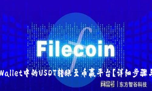 如何将TPWallet中的USDT转账至币赢平台？详细步骤与注意事项