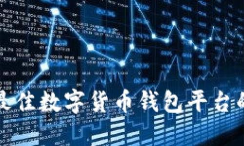 选择最佳数字货币钱包平台的指南