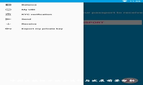 中国区块链币的合法性与发展前景分析
