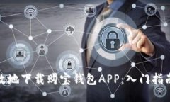 如何安全高效地下载购宝钱包APP：入门指南与用