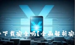 虚拟币钱包软件下载安全吗？全面解析安全性与