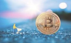 全面解析TP如何支持麦子钱包：带你了解新金融时