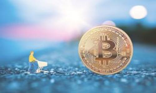 

全面解析TP如何支持麦子钱包：带你了解新金融时代的革新