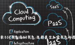 比较BSC钱包与BT钱包：选择最佳加密钱包的指南