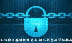   如何安全存储数字货币：放入钱包的详细指南