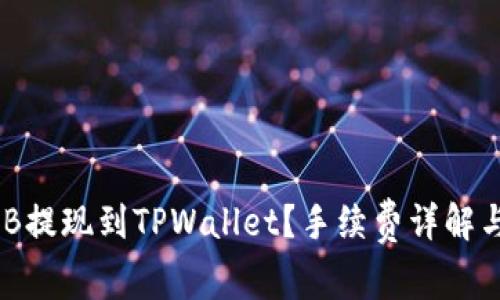 如何将BNB提现到TPWallet？手续费详解与操作指南
