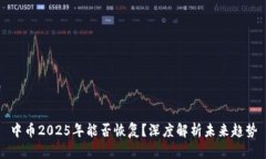 中币2025年能否恢复？深度解析未来趋势
