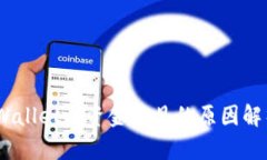 USDT转到TPWallet后资金不见的原因解析与解决方案