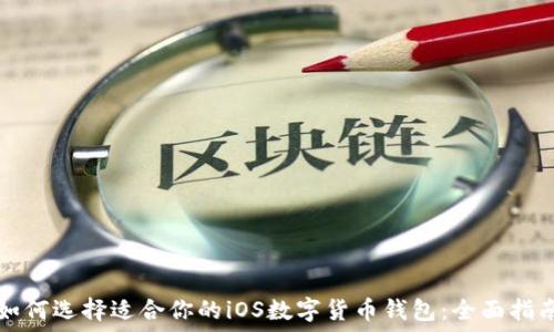   
如何选择适合你的iOS数字货币钱包：全面指南